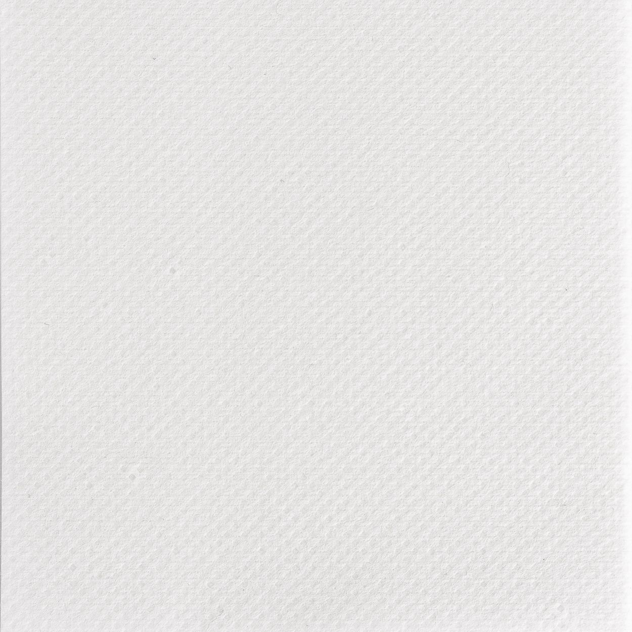 20251207-SOT01586